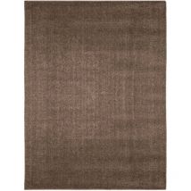 Minimal - Tapis uni de Salon Chambre Relax Sobre et Epuré (Café - 120x170cm)
