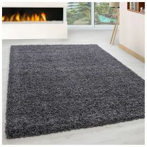 Tapis uni shaggy rectangle Aimee Gris 100x200