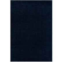 Tara - Tapis de Salon Uni Motifs Relief Lignes (Bleu - 120x160cm)