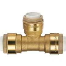 Té femelle égal 16-16