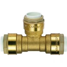 T hembra igual a 14-14