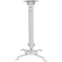 Techly - ica-pm 18S Support pour projecteur Plafond Argenté