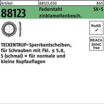 Sperrkantscheibe R 88123 S 5x10,2x1 Federstahl Zinklamellenb. 1000st. Teckentrup