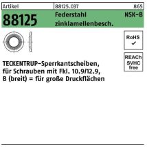Sperrkantscheibe R 88125 Nsk-b 6 Federstahl Zinklamellenb. 1000st. Teckentrup