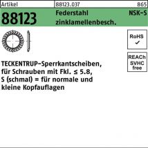 Art 88123 Teckentrup Sperrkantscheiben c 60 flZnnc nsk-s 12 flZn s 500 Stk
