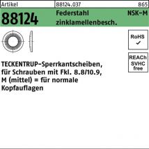 Sperrkantscheibe r 88124 nsk-m 16 Federstahl zinklamellenbeschichtet
