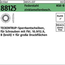 Teckentrup – Sperrkantscheiben NSK-B 6mm – Federstahl, zinklamellenbeschichtet, 1000 Stück