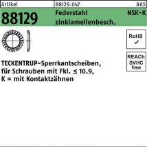 Sperrkantscheibe r 88129 nsk-k 4 Federstahl zinklamellenbeschichtet