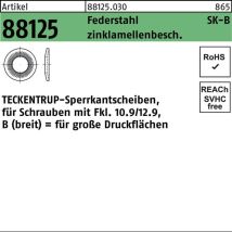 Sperrkantscheiben c 60 flZnnc skb 10 flZnnc k 1000 Stk - Teckentrup