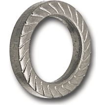 Teckentrup – Sperrkantscheiben C 60 flZn SKZ 16 – 100 Stück – Federstahl, zinklamellenbeschichtet, Durchmesser 16 mm, Dicke 2,5 mm