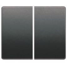 BJC - Tecla doble interruptor o conmutador antracita cosso Mega 22709-AC