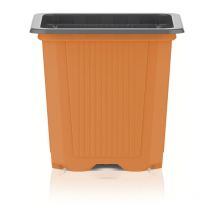Godet de culture - 7x7x6.5cm - Orange - Teku