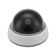 Link2home - Telecamera fittizia a cupola