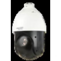 Hiwatch - Hikvision 2Mp Speed Dome Ptz 25x Ir 100m HWP-N4225IH-DE