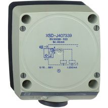 Xsdh603629 Schneider Osisense Xsd - Détecteur Inductif 80x80 L40mm Boitier Plastique Sn 60mm Telemecanique