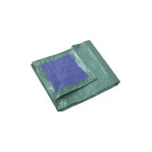 Telone di protezione rinforzati 140 gr m2 8x12 m - ribimex prb14008x12.