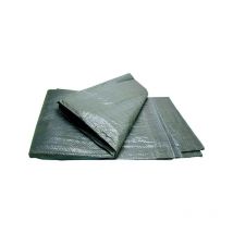 Telone Occhiellato Gr.100 Verde 8X10