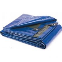 Telo telone rafia polietilene gr 90 6x8 copritutto antipioggia occhiellato