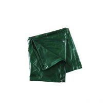 Telone Occhiellato Pvc Pesante Verde Effe