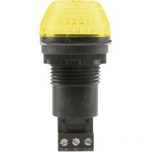 Avertisseur optique led Auer Signalgeräte 800507405 24 v ac/dc lumière permanente, feu clignotant IP65/67 1 pc(s) S98968