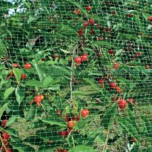 Rete antiuccelli ortoflex verde 5X8M per il giardino - Tenax