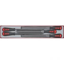 Tengtools - Jeu de limes TTX4 tray 250mmL 5 pièces Teng Tools TTXF05