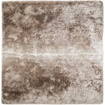 Teppich Whistler Beige/Hellbraun 200x200 cm