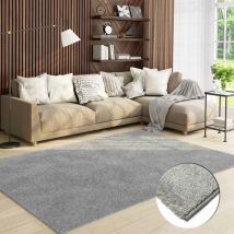 Vimoda - Teppich Wohnzimmer Kurzflor Einfarbig für Schlafzimmer kinderzimmer weicher pflegeleichter, versch.- Größen, Farben,Grau, 160 cm Round