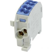 HoraeTec 080110-1-3 Terminale ramo principale pa, Ottone Grigio (ral 7035), Blu luminescente (ral 5012) 1 polo 100 a 69