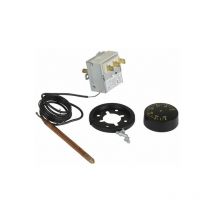 Termostato regolazione acqua a bulbo tr 2 0-60° Nestor Martin 40814