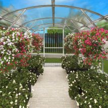 Terrando - Gewächshaus Estragon 3x6m Gewächshaus aus Metall in Silber, Anzuchthaus mit 6 mm Wandstärke Treibhaus Silber