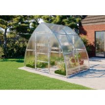 Terrando - Gewächshaus Viola 3x2m Gewächshaus aus Metall in Silber, Anzuchthaus mit 6 mm Wandstärke Treibhaus Silber