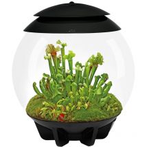 Oase - terrario automatizado negro - Air 30 black