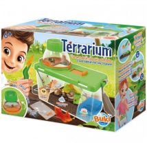 Terrarium : habitat pour les petites bêtes