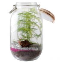 Terrarium à faire soi même - Fougères et Flamant rose