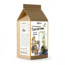 Terrarium de la Savane - Girafe et Crocodile