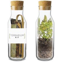Kit Terrarium Suculentas