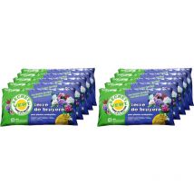 Secret Vert - Terre de bruyère bio pour plantes acidophiles 40 litres Lot de 10
