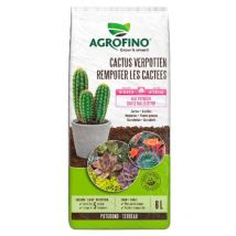 Terreau cactus et plantes grasses Agrofino 5 semaines de nutrition 6L