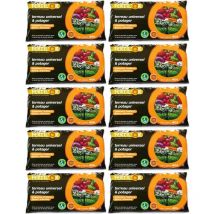 Fertilor - Terreau universel et potager pleine terre ou bac 40 litres Lot de 10