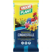 Terriccio Cinquestelle 20 litri Vigorplant