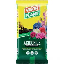 Terriccio Acidofile 45 litri Vigorplant