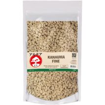 Kanuma Terriccio Per Bonsai E Piante Acidofile 1.6l - Altea