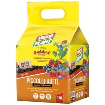 Terriccio Biologico Per Piccoli Frutti 10 Lt