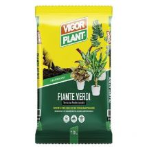 Terriccio per piante verdi appartamento e tropicali Vigorplant 10LT kentia ficus