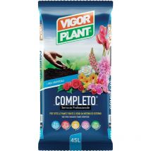 Terriccio Completo 45 litri Vigo rplant