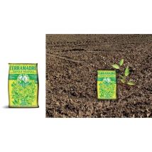 Terriflora – Terriccio universale Terramadre 20 litri – Substrato naturale per piante verdi e fiorite – Alta qualità