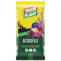Vigorplant Terriccio Per Piante Acidofile 20lt