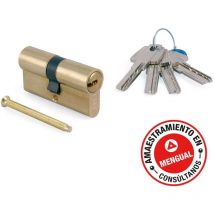 Tesa Assa Abloy - Cilindro T-60 - talla Niquelado. 70 mm. 30-40