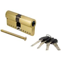 Cilindro Tesa Tk100 -80 Latón (40x40) - Cilindro Tesa Tk100 - Cilindro Con Llave Incopiable Patentada